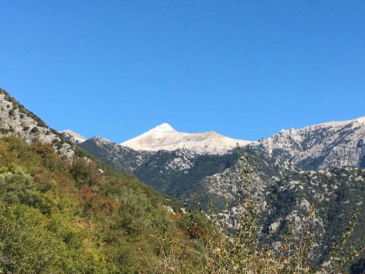 Nefeli Villa Tseria Dış mekan fotoğraf